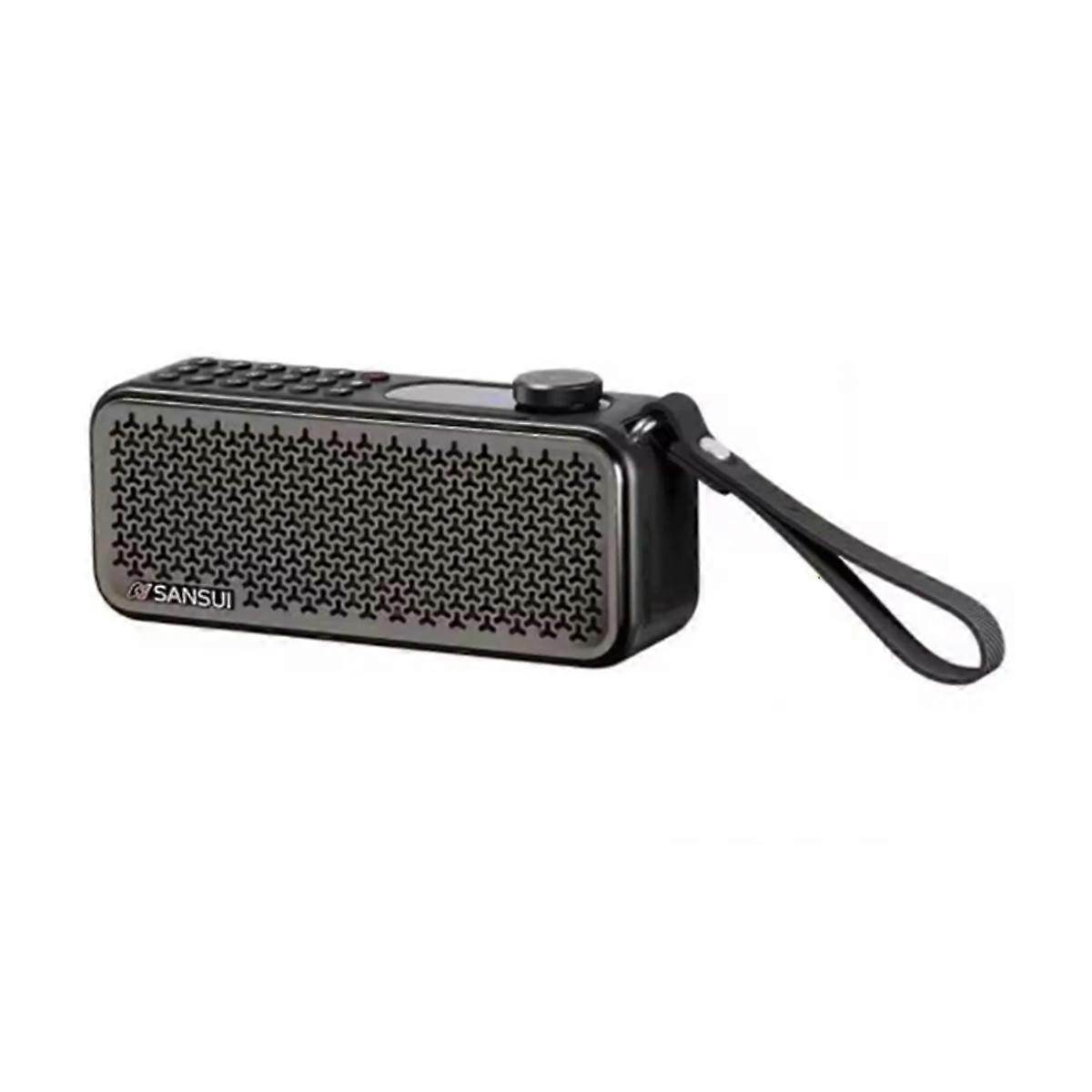 F60 Elderly FM Radio Plug in Dual Card Speaker Player Black