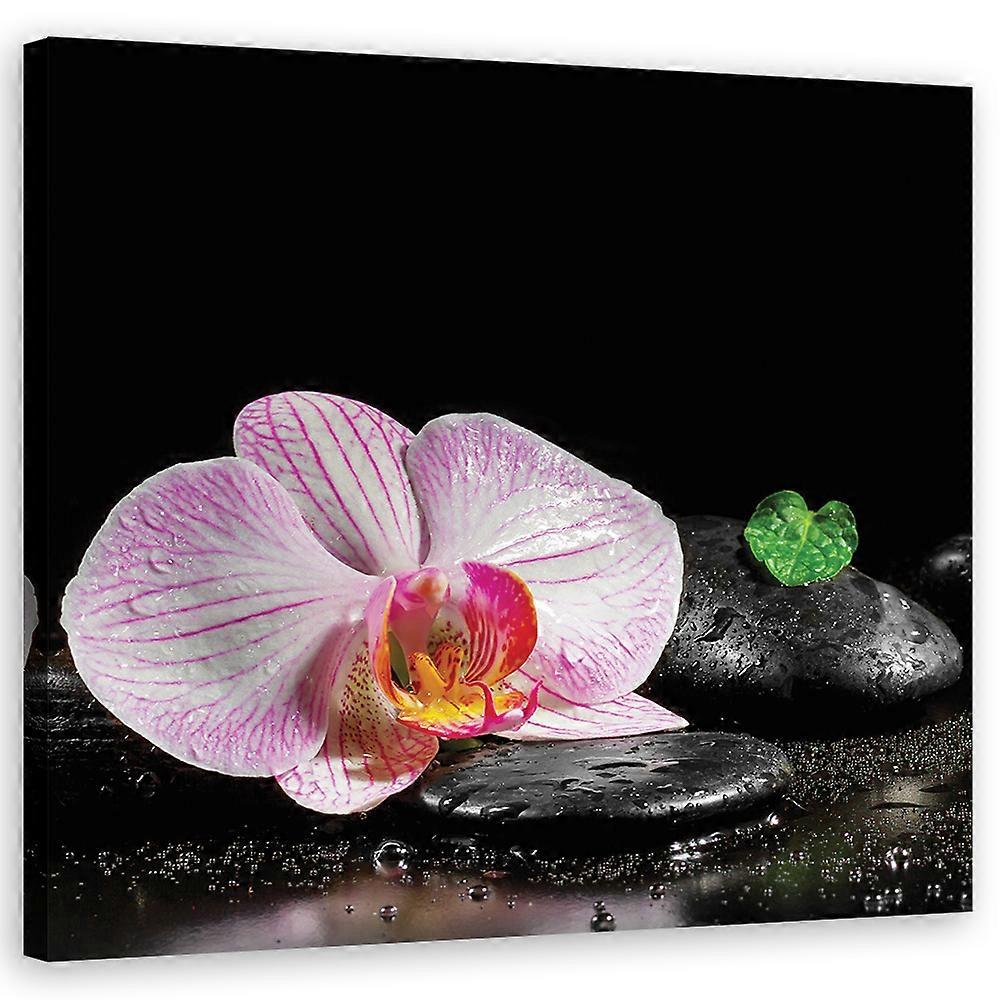 Leinwandbild, Blühende Zen-Orchidee - 40x40