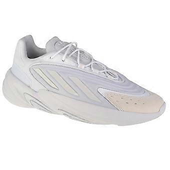 Adidas Ozelia H04251 universal all year herren