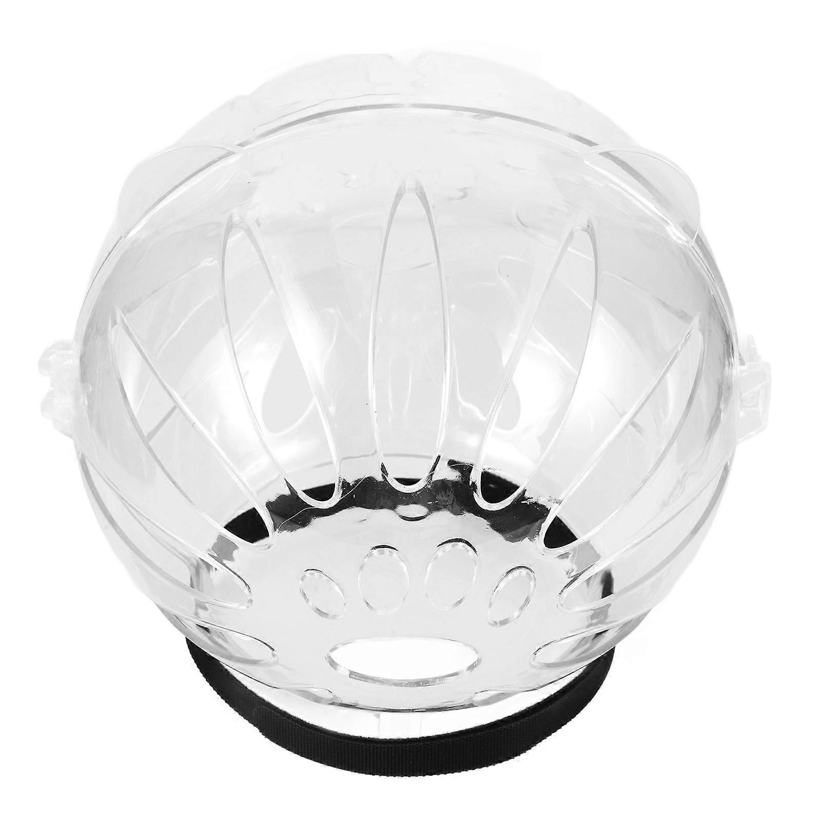 Cat Clear Protective for Cats 2Pcs Anti Chewing Transparent