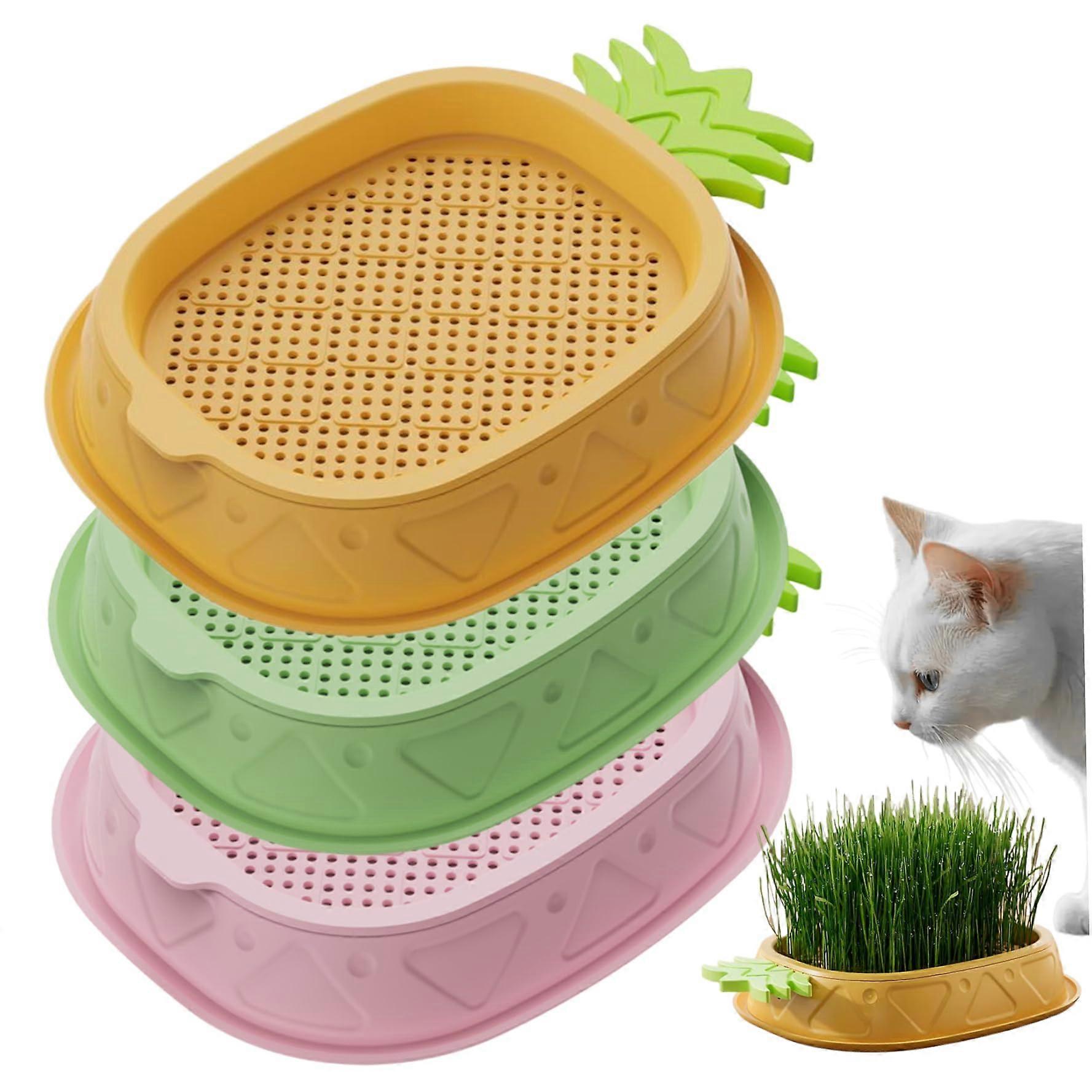 Cat Grass Planter Set, Hydroponic Soil Pineapple Tray, Detachable TwoLayer Indoor Growing Kit
