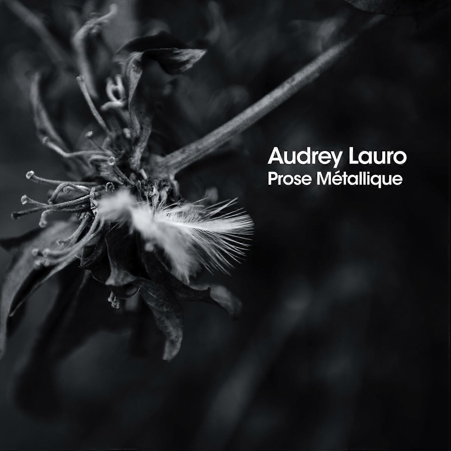 Audrey Lauro - Prose Metalliqe  [COMPACT DISCS] USA import