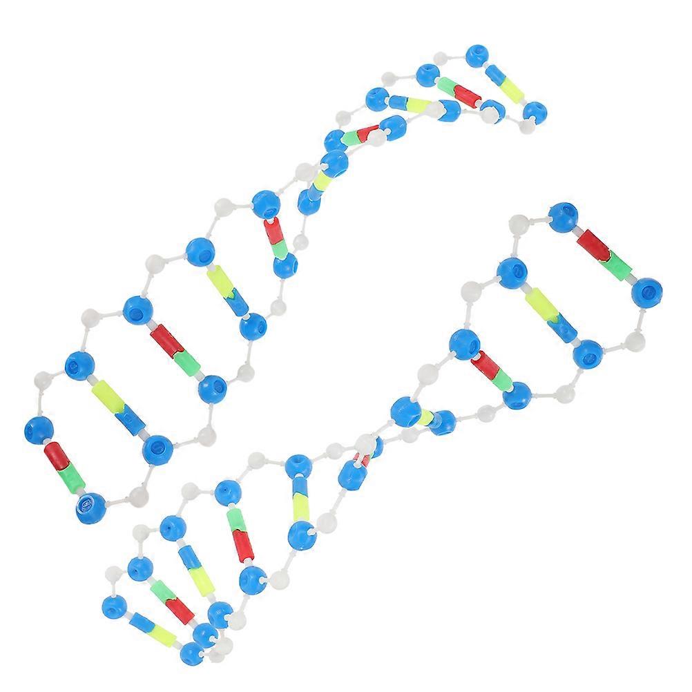 Dna Model Double Helix Structure Kit for Education 2Pcs Plastic Teaching Tool