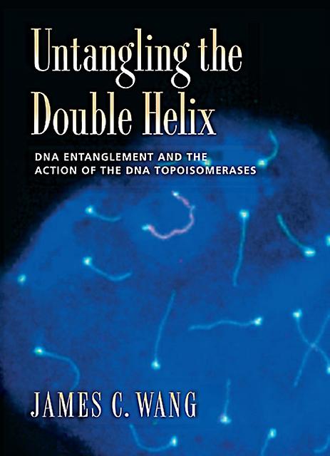 Untangling The Double Helix by James C. Wang Paperback
