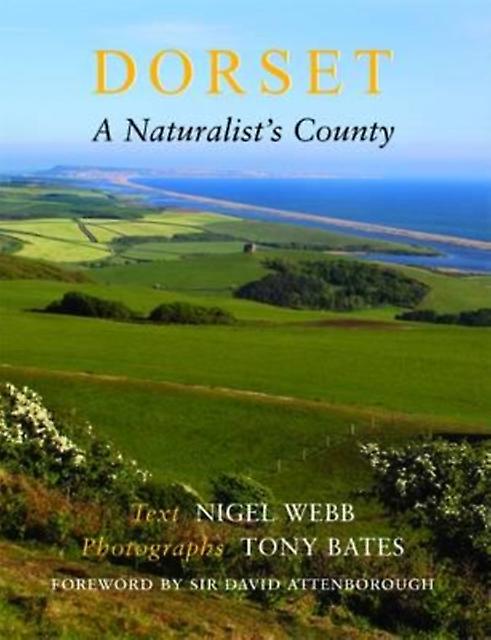 Dorset A Naturalist's County by Tony Bates Paperback