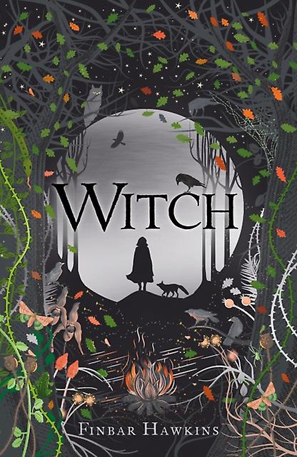 Witch by Finbar Hawkins Paperback