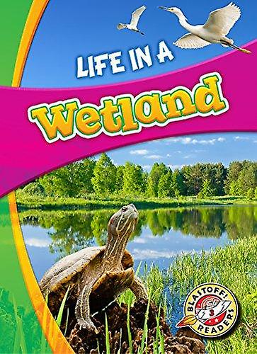 Life In A Wetland