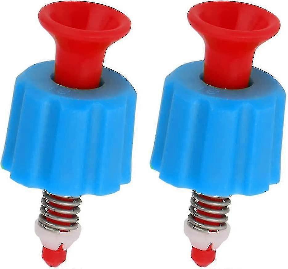 2 pezzi valvole di rilascio di sicurezza giardino sprinkler spruzzatore compressore d'aria valvola limitatrice di pressione per 3l / 5l / 8l tipo di zaino spruzzatore-colore casuale