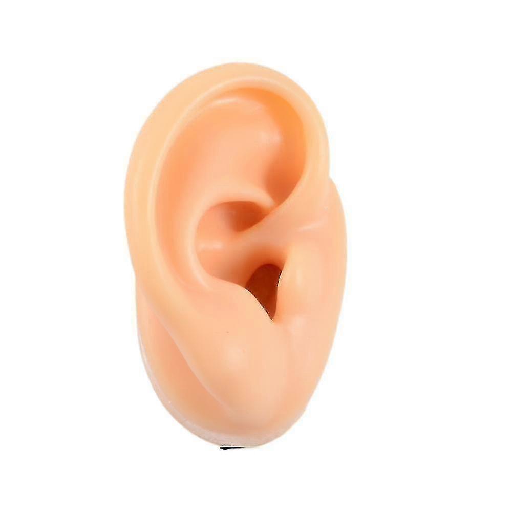 Silicone Ear Mold (right), Flexible Ear Mold For Jewelry Display, Piercing Practice Ear Mold