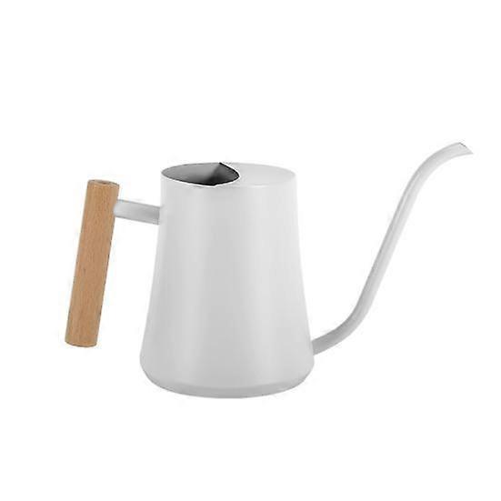 1L Watering Pot Stainless Steel Watering Can Leak-Proof Flower Sprinkling Can with Long Spout for Indoor Outdoor Garden