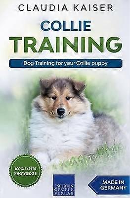 Collie Training  Dog Training for your Collie puppy