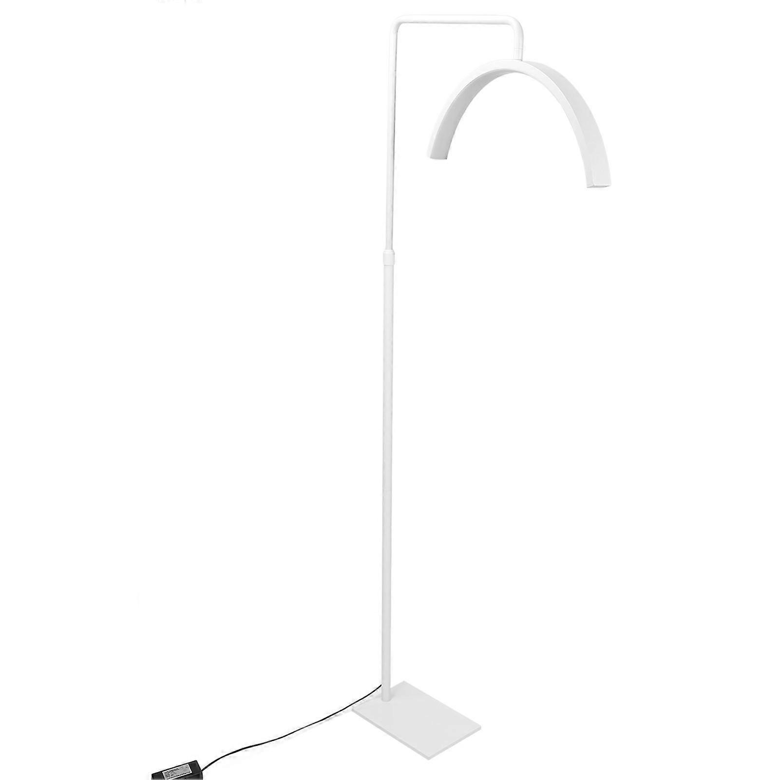 20inch Half Moon Floor Lamp 3300‑6500K 200pcs Light Chips LED White Pole Eyebrow Tattoo Lamp 110‑240V UK Plug