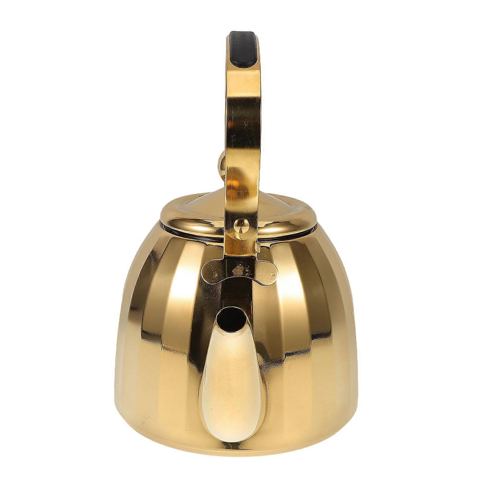 Stainless Steel Infuser Teapot For Home And Restaurant Use 1.5l Tea Kettle Strainer Kettle With Handle For Boiling Water And Tea