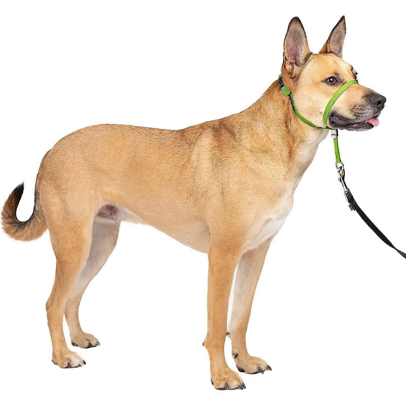 Dog Head Collar Muzzle for Dogs, No Pull Training Harness for All Sizes, Anti-Pull, Green Small Size