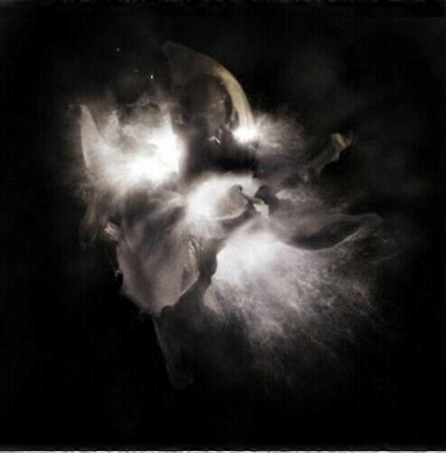 Nedry In a Dim Light CD (2012)