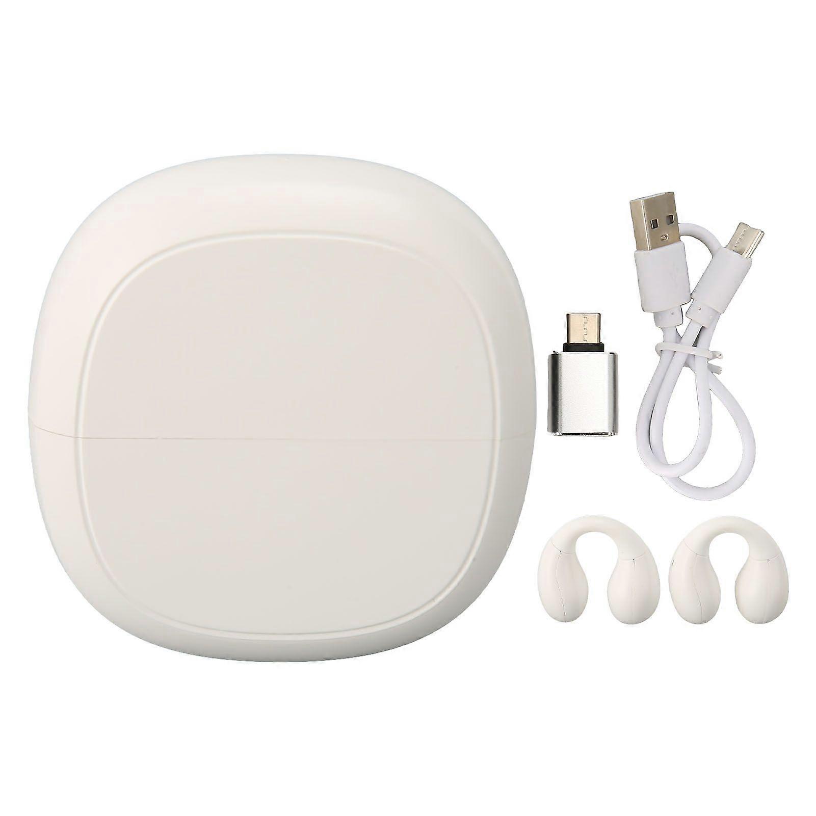 Language Translator Earphone 74 Languages 70 Accents Bluetooth 5.3 Noise Reduction Clip On Translation Earbuds with Charging Case White