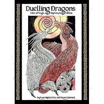 Duellierende Drachen
