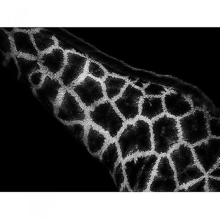 Mario Moreno African Art Poster