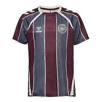 Hummel Childrens/Kids Pre-Match Denmark T-Shirt
