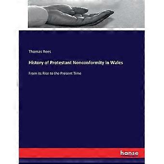 History Of Protestant Nonconformity In Walesfrom Its Rise To The Present Time - Thomas Rees - Paperback - en Book
