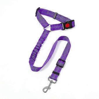 Soft-Grip Braided Dog Rope Leash