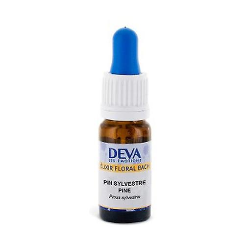 New Year's Pine (Pine) 10 ml of floral elixir