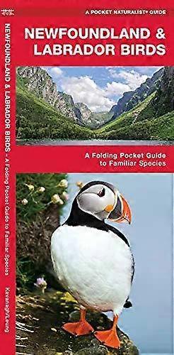 Newfoundland & Labrador Birds - James Kavanagh