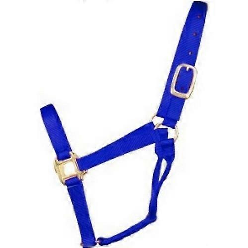 Hamilton Halter Horse Qlty 8-11 Avg 1" Blue, 1 Each