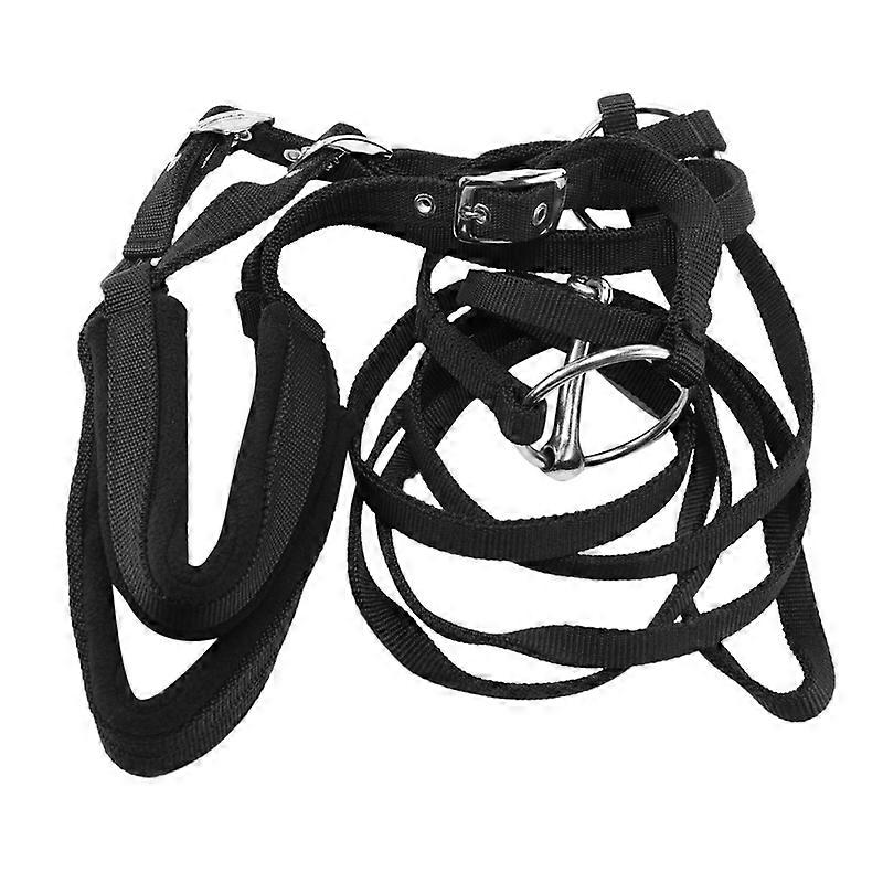 Adjustable Equipment Halter Horse Bridle with Bit and Rein Belt for Horse Equestrian Accessories So