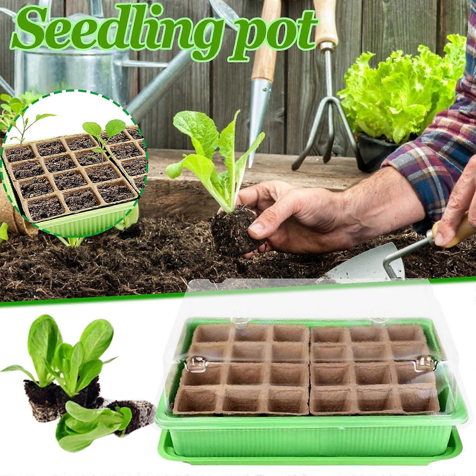 24 Cells Gardening Mini Breathable Lids Plastic Germination Box Nursery Pots