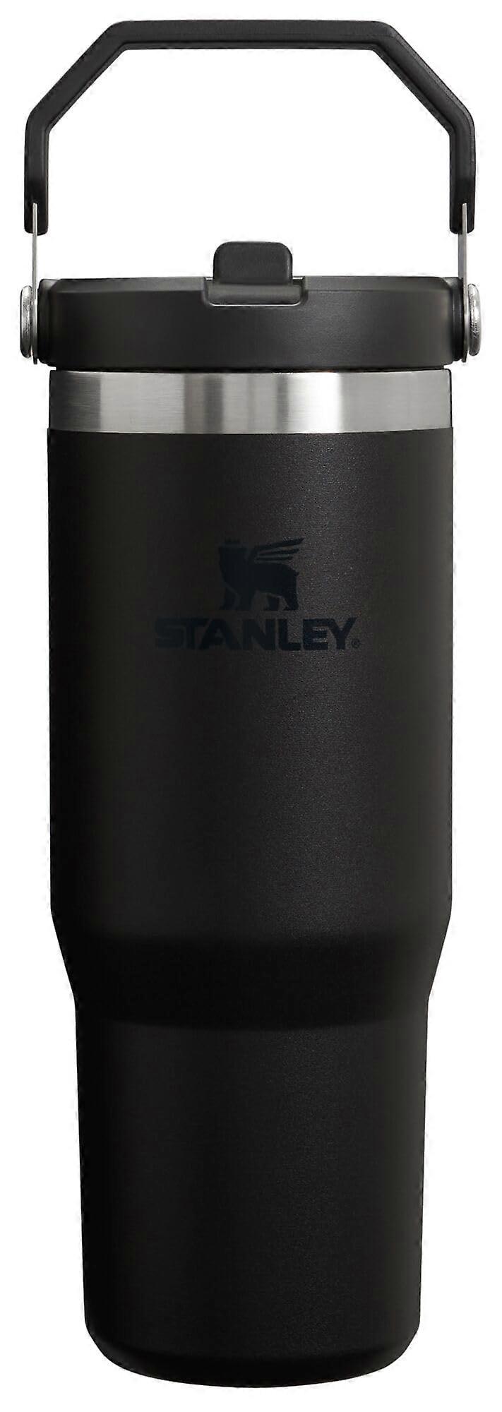 Stainless Steel Tumbler with Vacuum Insulation - Reusable Mug for Home, Office, or Car, 20 oz, BPA-Free, Travel Cup