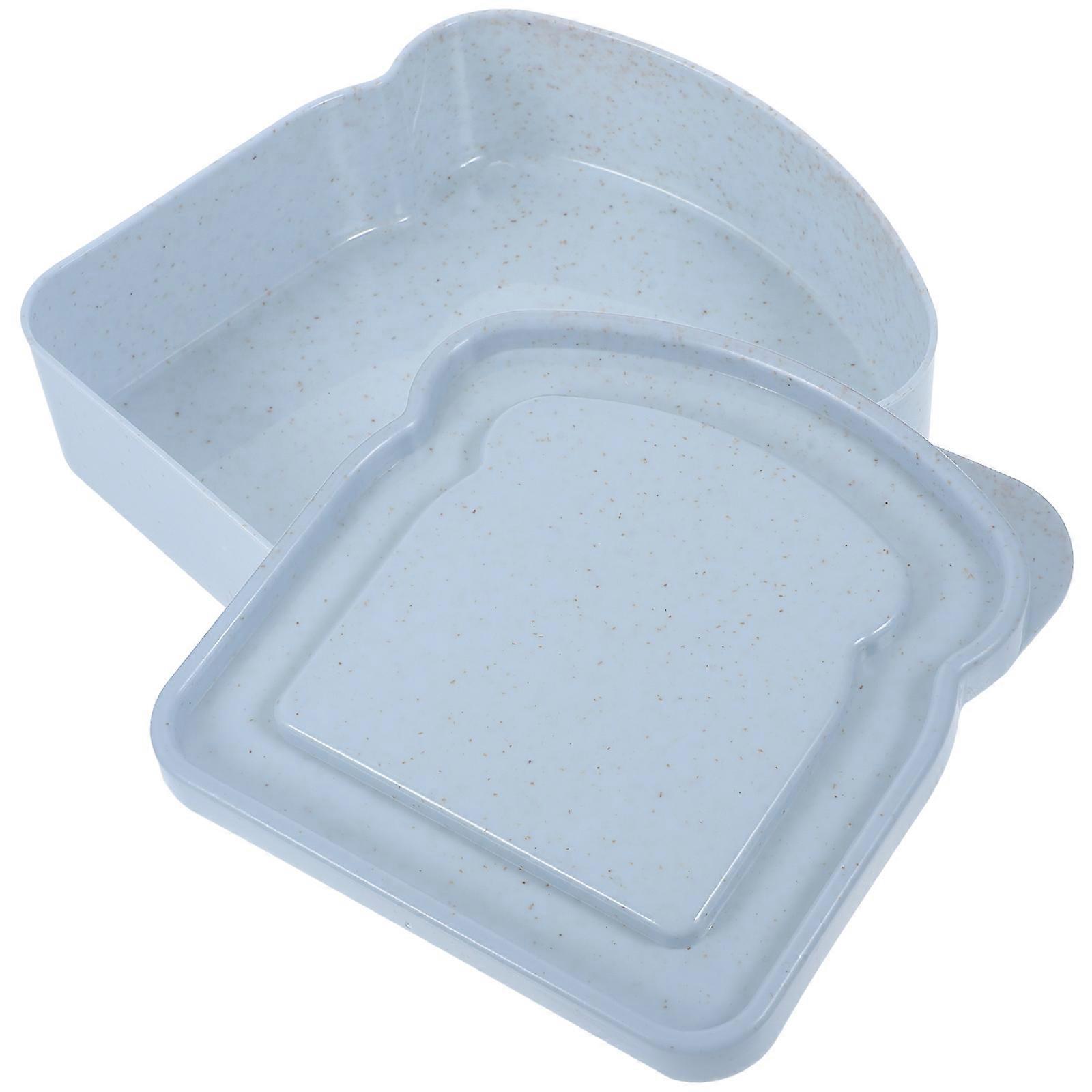 Skyblue Sandwich Container for Home Use Made of Synthetic Material Lightweight and Reusable 7.5 x 5.2 inches