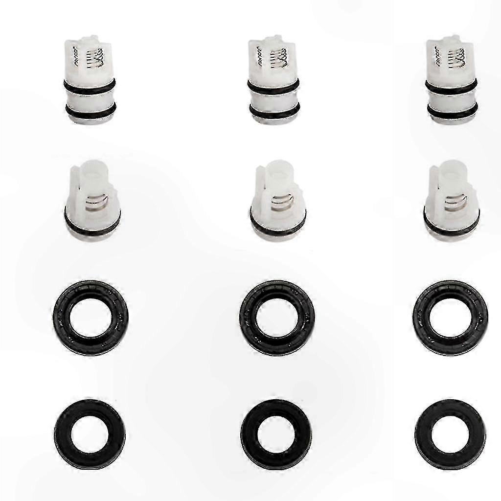 Replacement Kit for High-Pressure Washer Seal and Oil Check Valves