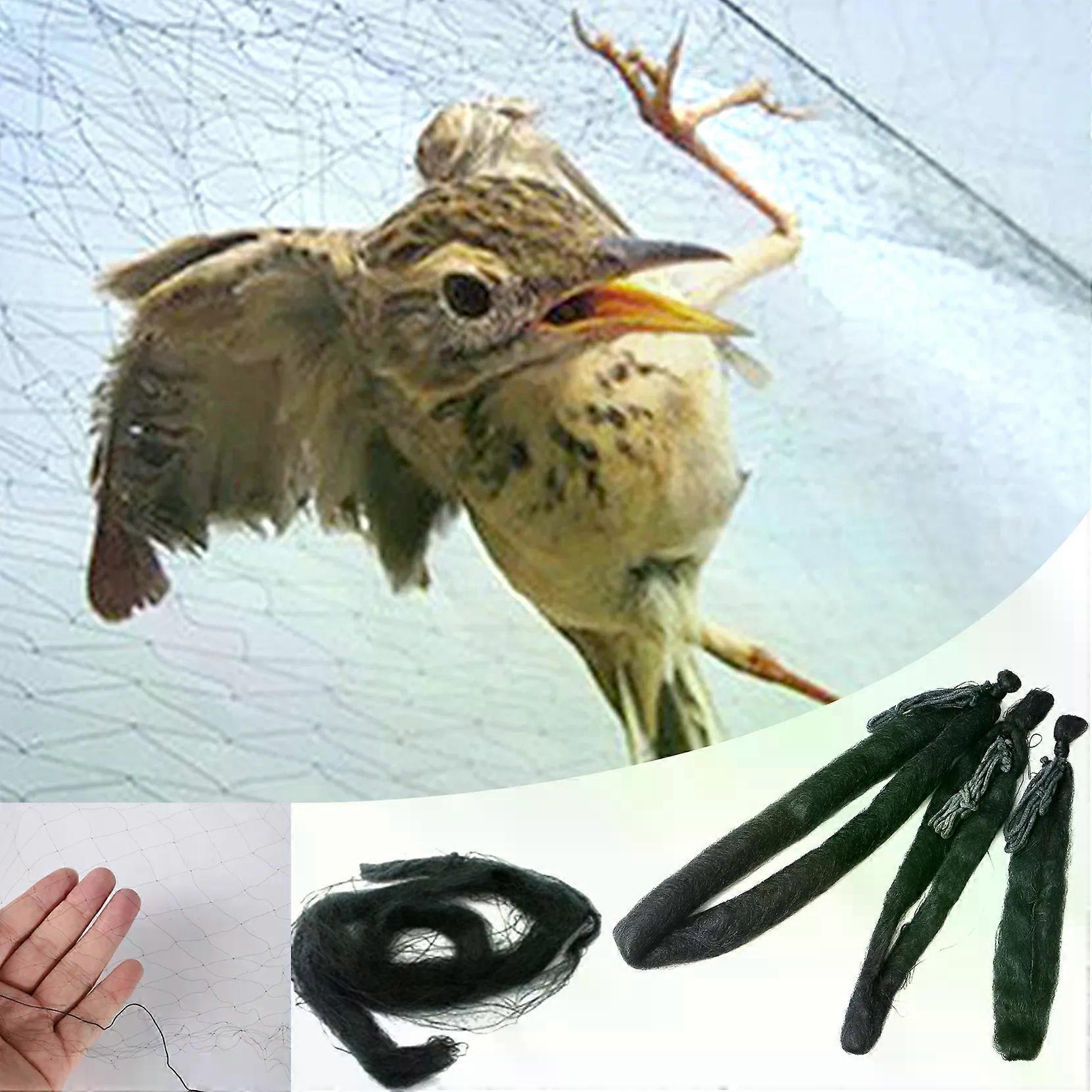 Anti Bird Catcher Netting Pond Net Fishing Net Traps Crops Fruit Tree Vegetables Flower Garden Mesh Protect Pest Control 1Pc
