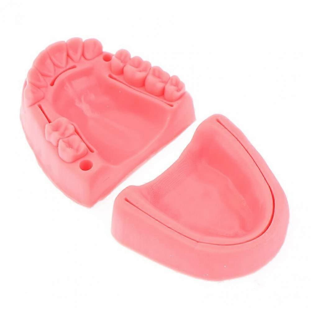 2 Pcs Dental Suture Practice Model with Silicone Multiple Wound Gingiva for Oral Surgery Training