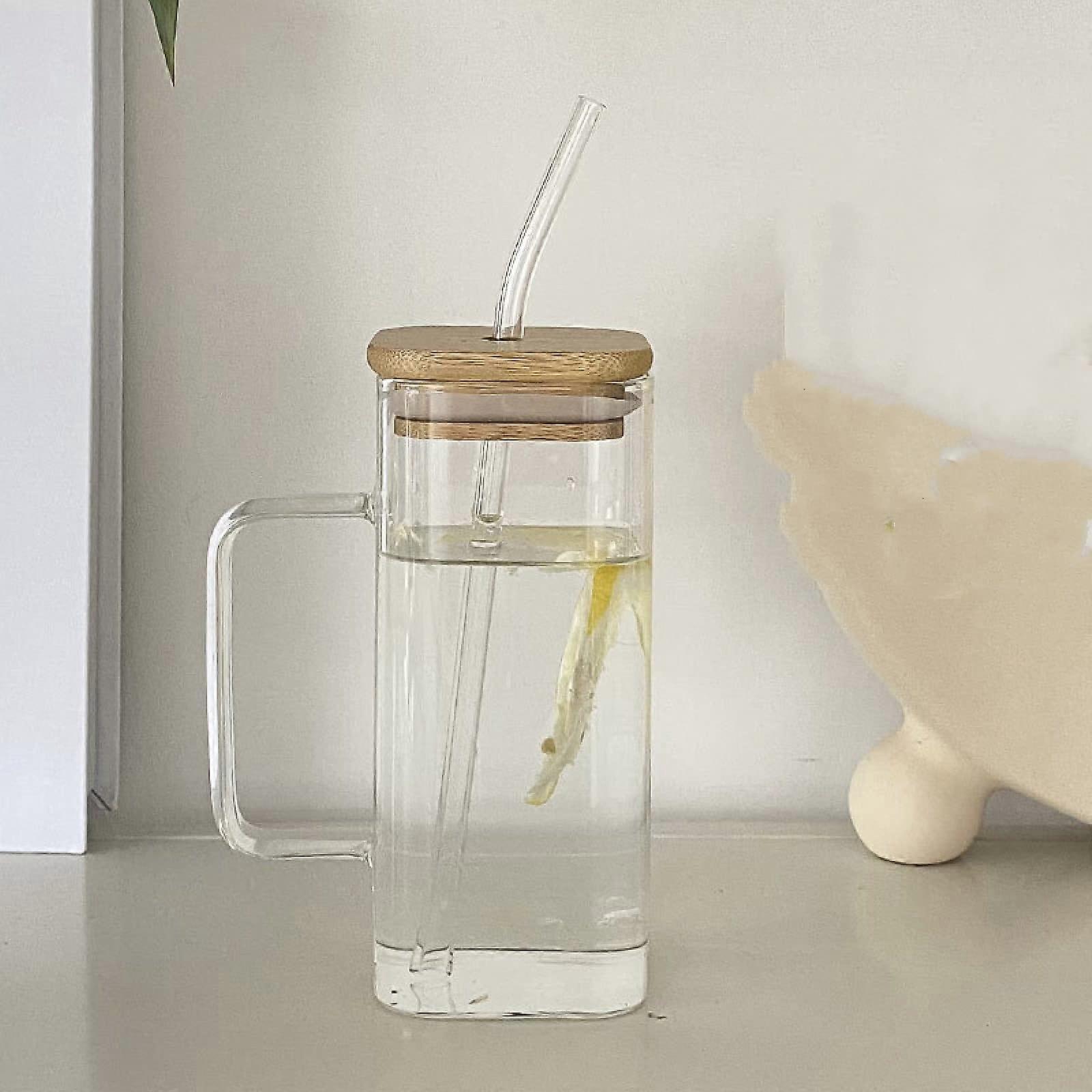 Glass Sippy Cup with Handle, Bamboo Lid and Reusable Straw, Clear Transparent Drinkware