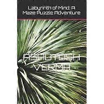 Labyrinth of mind a maze puzzle adventure
