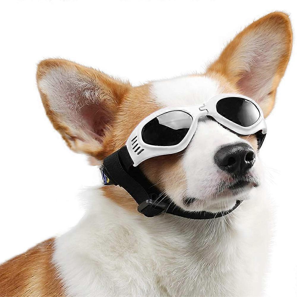 No-Pull Headcollar, Chew-Proof, Adjustable, for Small Medium Dogs