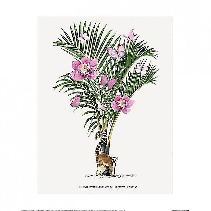 Summer Thornton Lemur Palm Poster