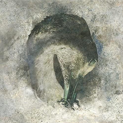 Suma - Ashes (20th Anniversary Edition) [CD]