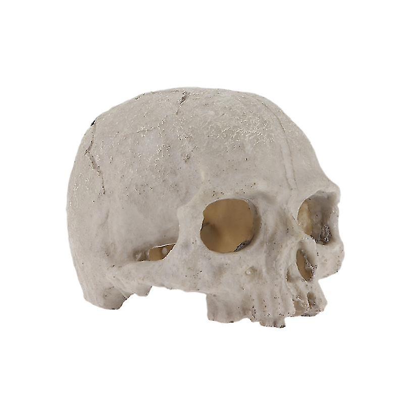 1pcs Fish Tank Skull