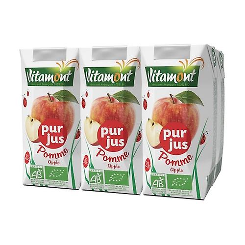 Vitamont Brick Apple Juice 6 units of 200ml (Apple)