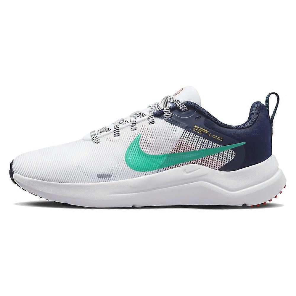 Shoes Nike Downshifter 12 DD9294103
