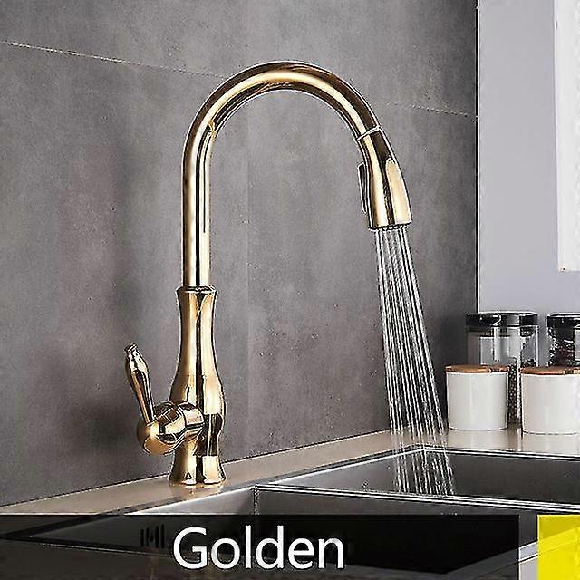 2 Function Gold Kitchen Faucets Pull Out Spray Kitchen Mixer Tap-MXBC