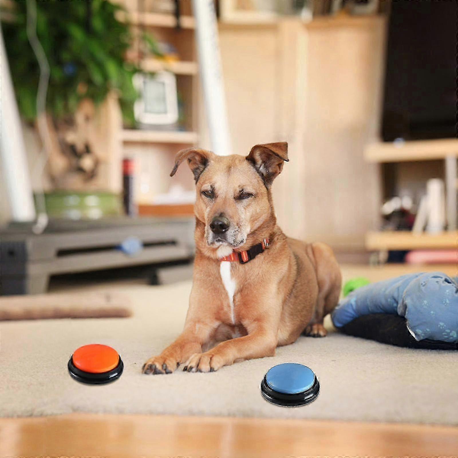 Recordable Talking Button 30 Seconds Voice Recording Button Pet Speech Training Buzzers Kb Walkbee Walkbee 3833 B