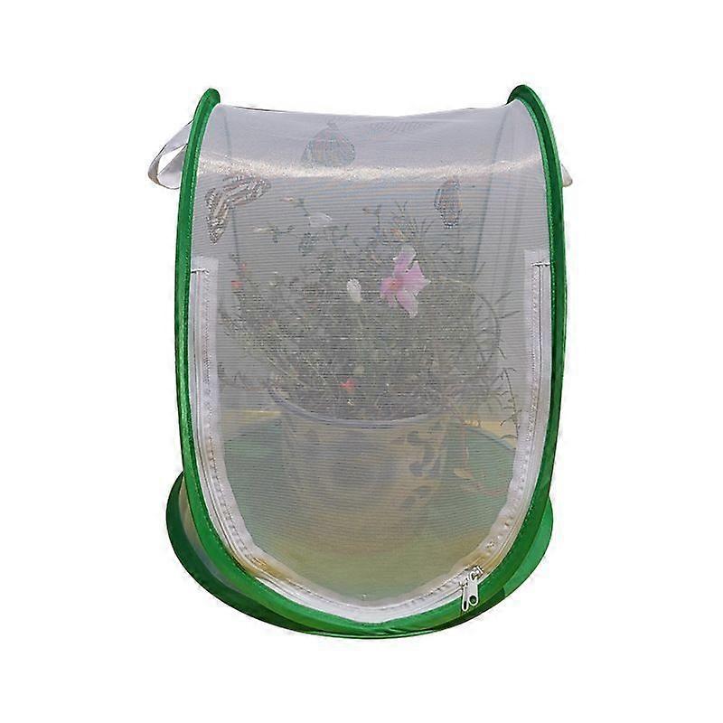 Lebanghui Insect Cage Foldable Easy To Carry Green Insect Mesh Cage Terrarium For Garden