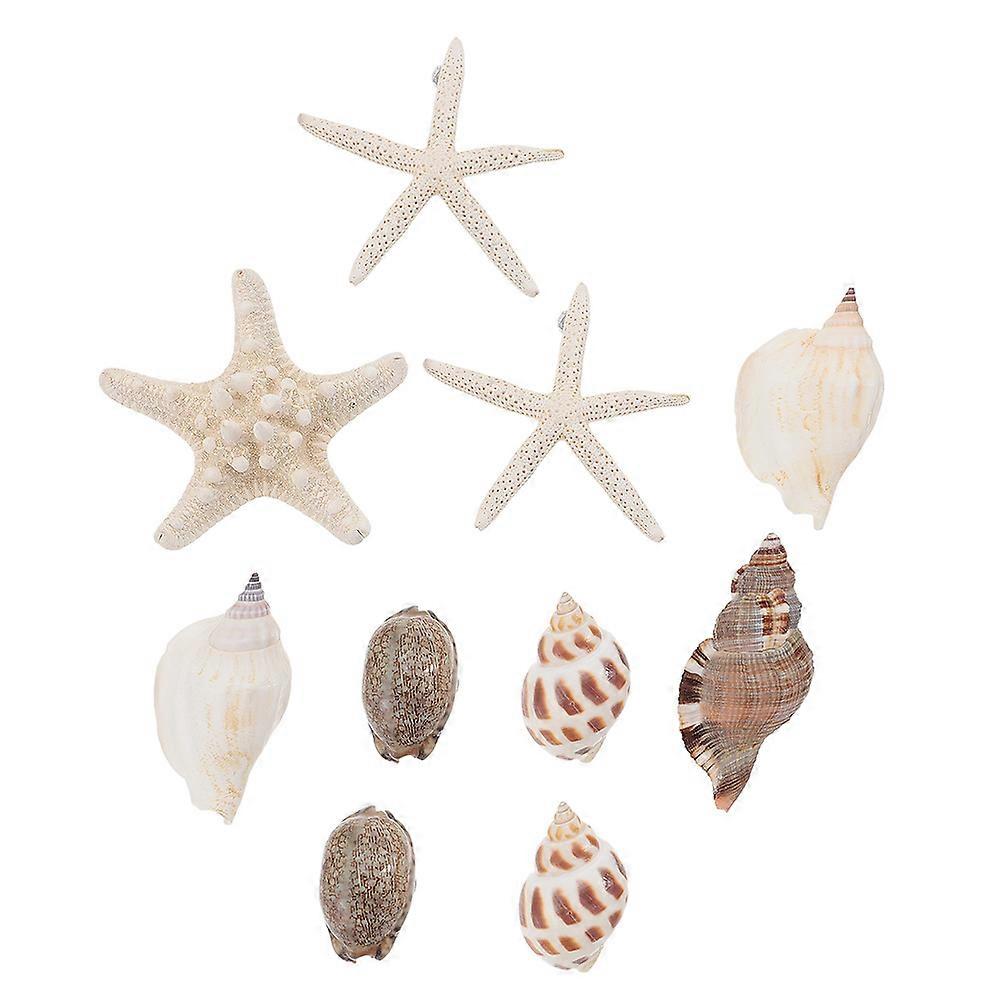 a polished and professional product description for your **Ocean Theme Seashell Refrigerator Magnets**:

 

**10pcs Ocean Theme Seashell Shape