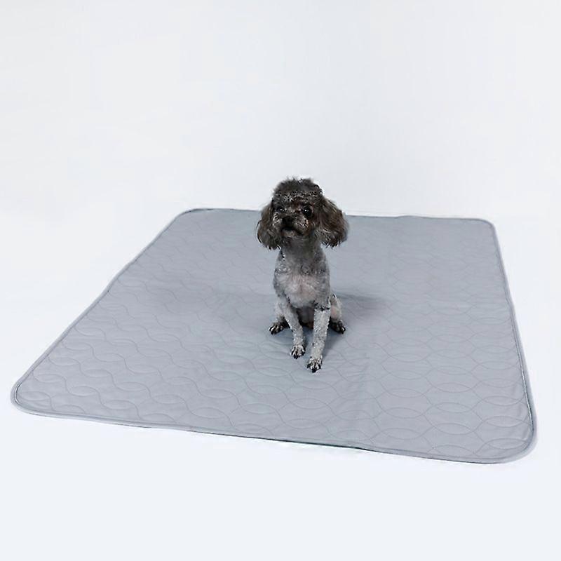 Absorbent Dog Pads Can Be Washed and Reusable Dog Urine Pads Training Mat