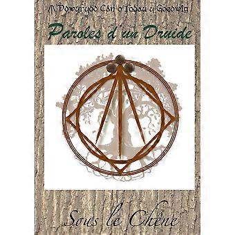 Paroles D'un Druide - Kadog Gwiziek - Paperback - en Book
