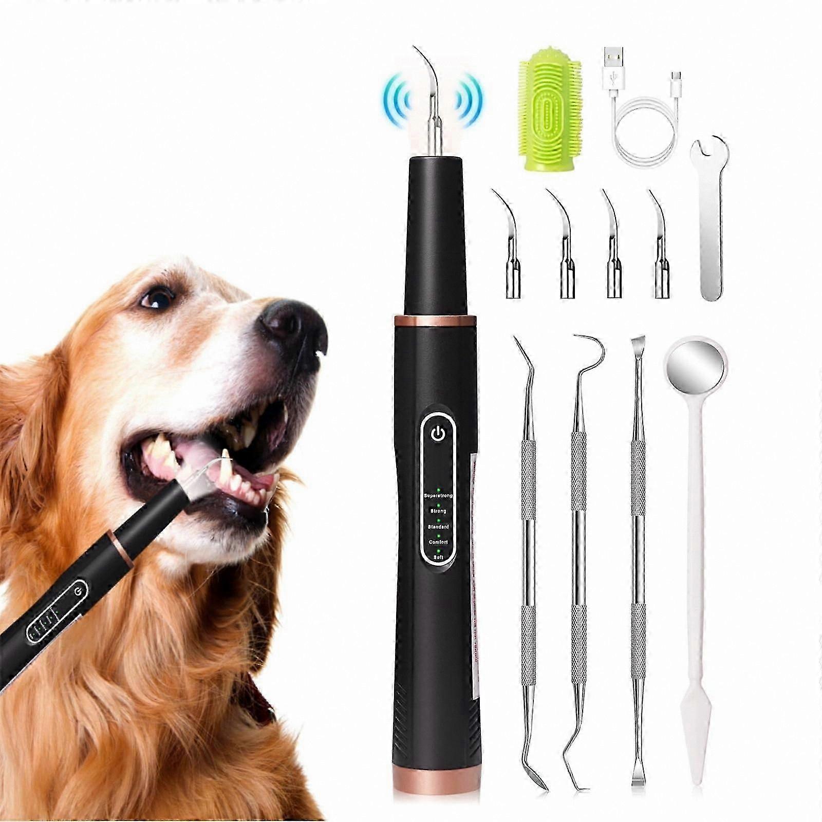 Dental Set for Dogs, Plaque and Teeth Cleaner with Scale Function